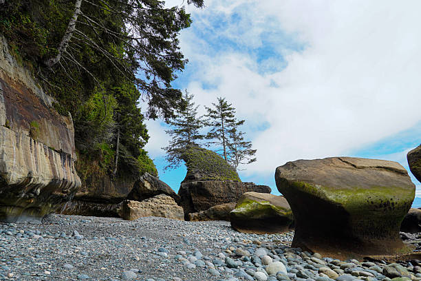 Rocky coastal sea stacks and boulders on a pebble beach under a bright sky in British Columbia, Canada.