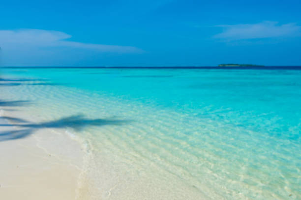 Maldives with turquoise clear water and many palm trees and clouds in the sky