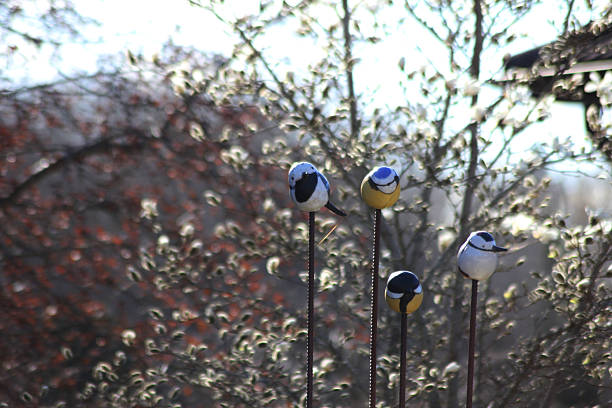 Wooden bird decorations