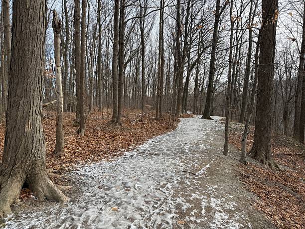 Earl Bales Park, Toronto, on Christmas Day 2025