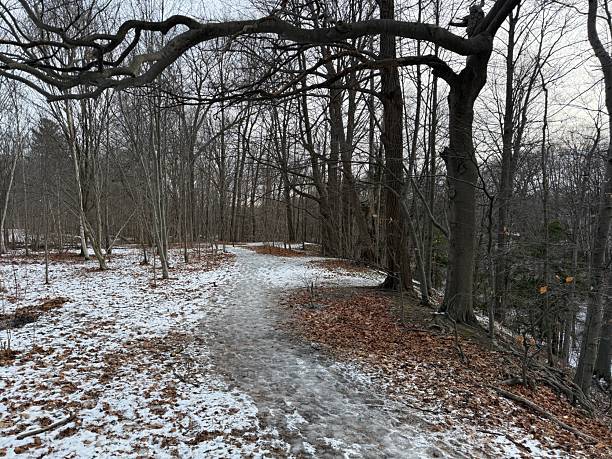 istock Earl Bales Park, Toronto, on Christmas Day 2025 2253512876