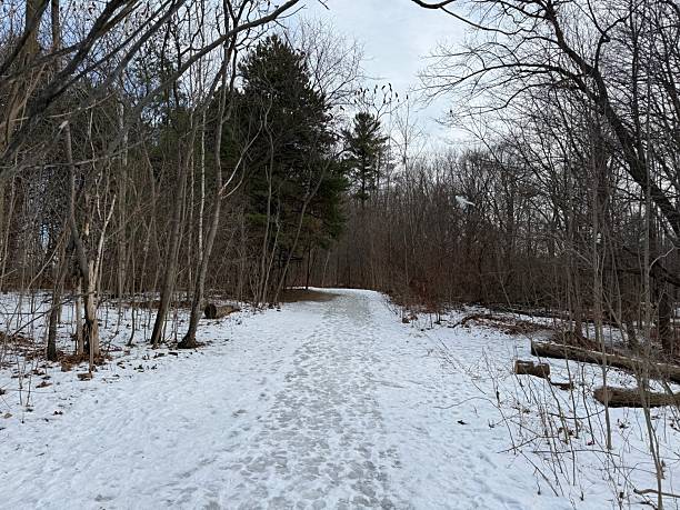 istock Earl Bales Park, Toronto, on Christmas Day 2025 2253512878