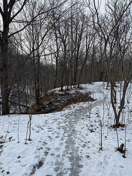 istock Earl Bales Park, Toronto, on Christmas Day 2025 2253512903