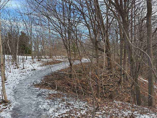 Earl Bales Park, Toronto, on Christmas Day 2025