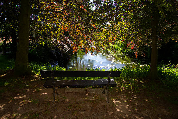 Resting on a bench in a park on the Veluwe, the Netherlands. Taking a break and enjoying the moment of peace and silence.