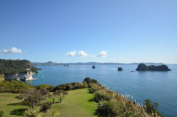 istock View out over the Bay in Cathedral Cove 2253515910