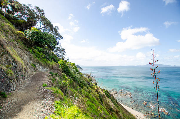 istock New Zealand Beach from the Cliffs above 2253515976