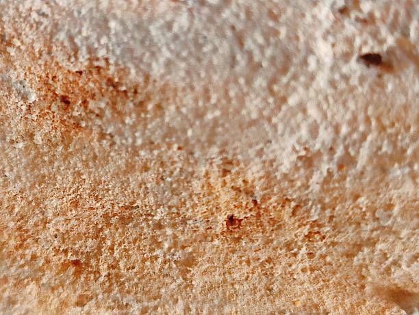 istock A detailed close-up of a rustic brick revealing grain, texture, 2253519513