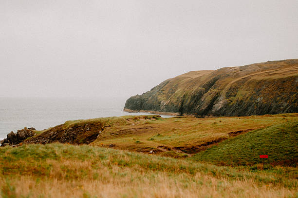 Coastal Cliffs Sea Cliffs Coastal Landscape Seaside Ocean View