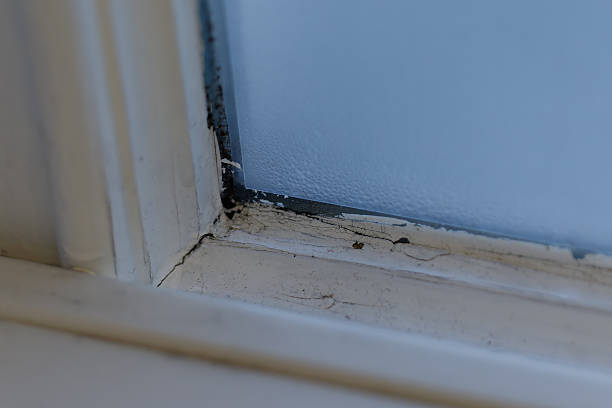 istock Black mold growing in window corner with condensation 2253524380