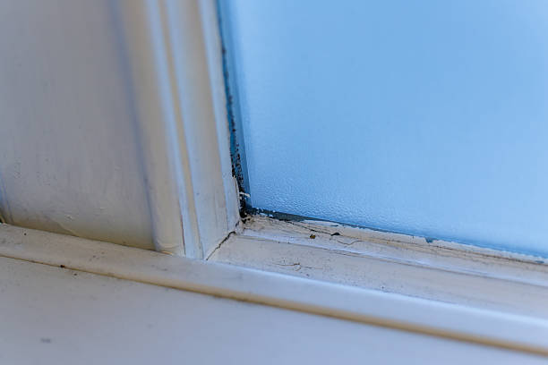 istock Dirty moldy window sill needing cleaning and maintenance 2253525027