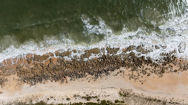 istock Coastal Transition at Washington Oaks 2253525803
