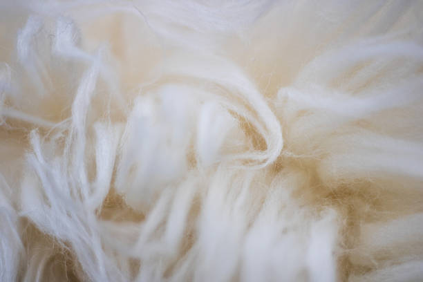 istock soft wool fibers in creamy tones 2253526385