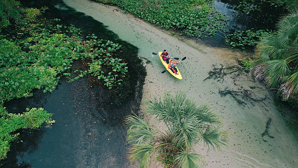 istock Couple Kayaking Florida Springs - High Angle Drone - Freshwater River 2253526876