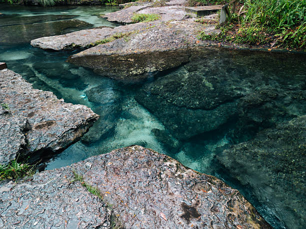 Natural Springs - River Flowing Though Rainforest Rocks - Florida Freshwater River Springs