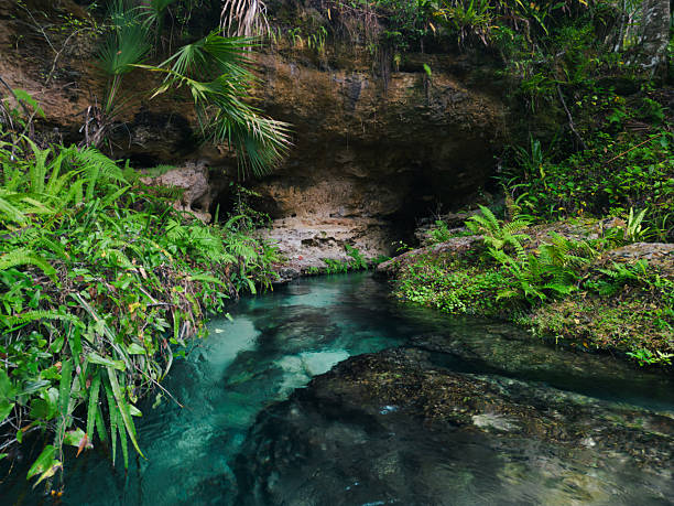 Natural Springs Flowing through Cave - Florida Freshwater River Springs