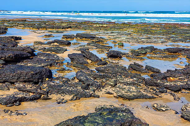 istock Rocky beach at low tide on volcanic coastline in Canary Islands 2253529977