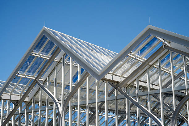 The Palm House at the University of Copenhagen Botanical Garden.++Some grain added++
