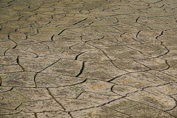 cracked dry soil texture in the sunlight
