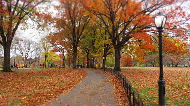 istock Central Park, New York City USA 2253533656