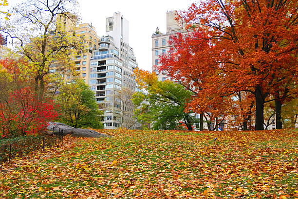 Central Park, New York City USA