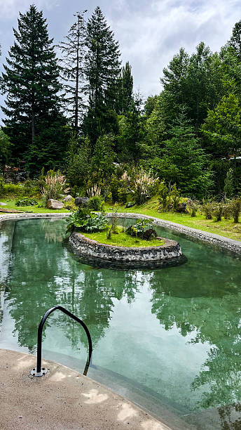 istock Natural water pools designed to blend seamlessly into landscape 2253534367