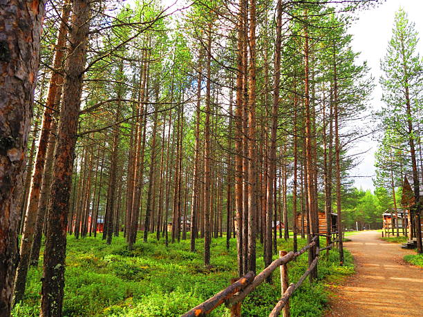 Inari, Lapland Finland