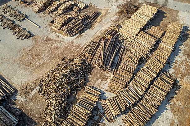 istock Aerial view of a wood processing plant 2253536870