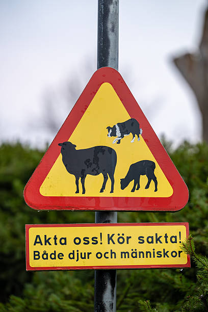 istock Stockholm, Sweden 2253538866