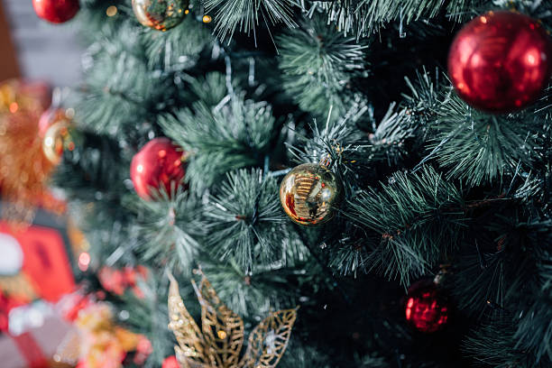 istock Twinkle Among the Pines 2253547913