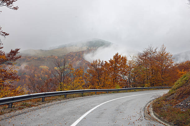 Fog and mist swirling around road safety sign in remote forest