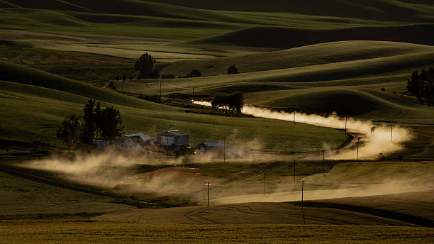 At dusk, a car threaded around houses in the wheat field, its wheels kicking up a faithful cloud of dust.