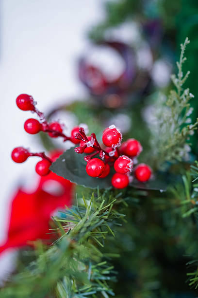 istock Frosted red berries enhancing festive Christmas decoration 2253551471
