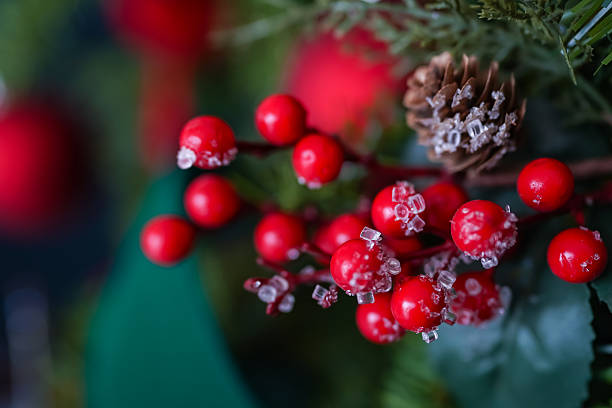 istock Frosted red berries and pine cone Christmas decoration 2253551472