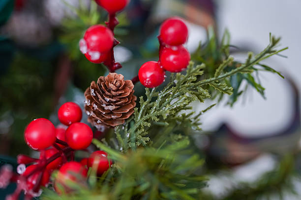 istock Christmas winter holiday festive spruce branch with pine cone 2253551484