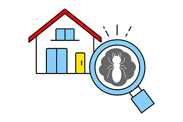 istock Image illustration of finding termites in a house with a magnifying glass 2253558195