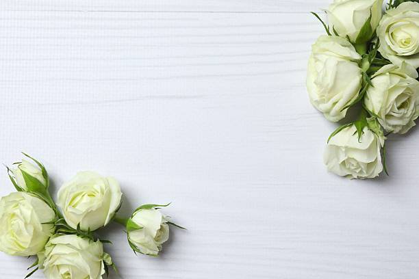 istock Beautiful white roses on light background 2253561607