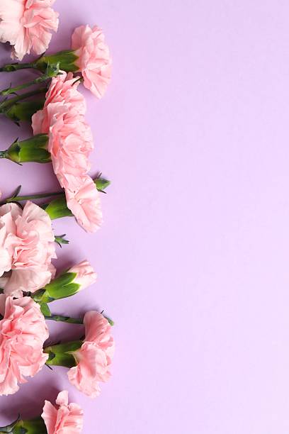istock Beautiful bouquet of pink carnations on a colored background 2253561820
