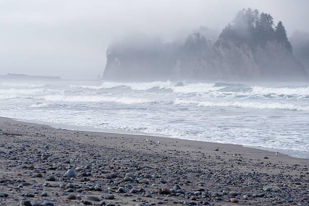 istock View of the powerful surf and misty sea stacks creating a moody atmosphere at Ruby Beach, Olympic National Park, Washington State, USA 2253564349