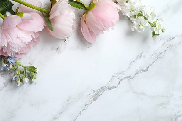 istock Top view of beautiful pink peonies, space for text 2253566118