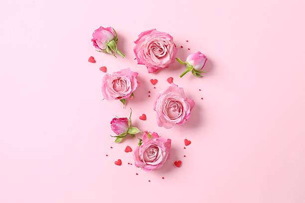 istock Beautiful composition with pink roses on color background 2253566985