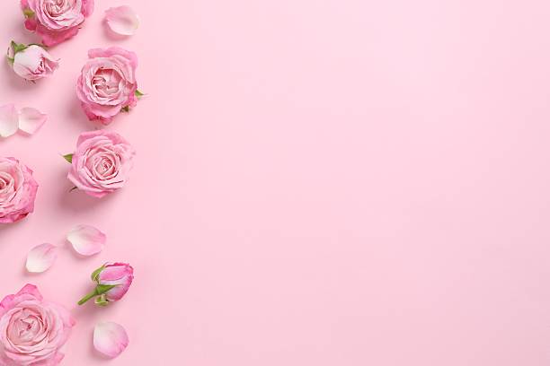 istock Beautiful composition with pink roses on color background 2253566995