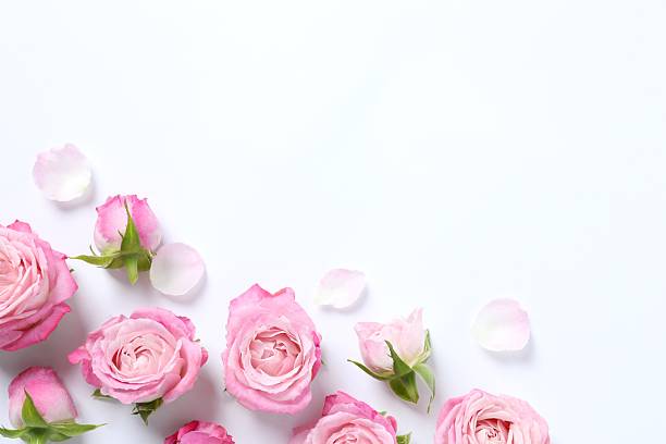 istock Beautiful composition with pink roses on color background 2253567040