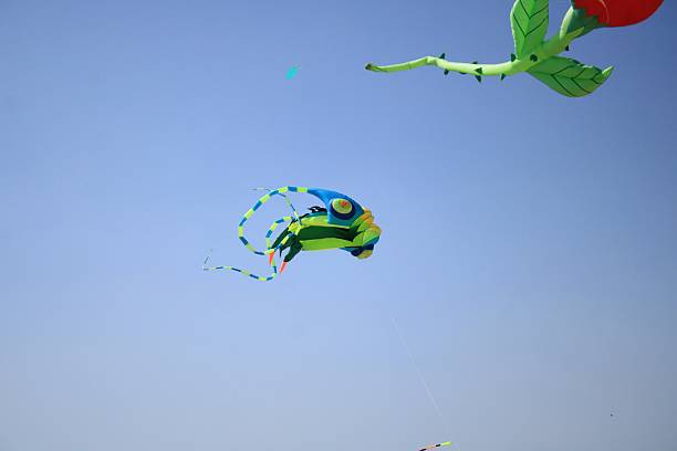 Bunch of balloons in sky