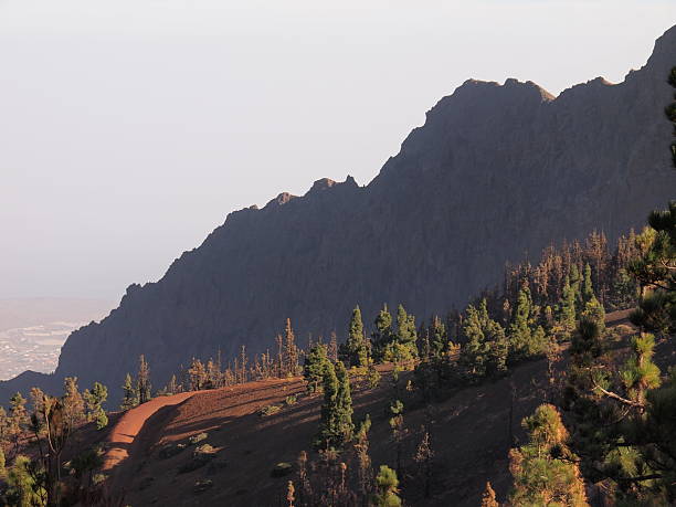 La Crucita viewpoint (Corona Forestal Nature Park, Tenerife, Canary Islands, Spain)