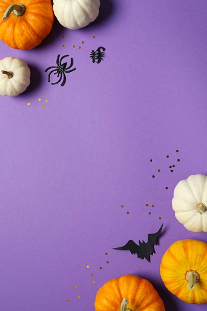 istock Halloween holiday decorations including pumpkins, spiders, bats on color background 2253570935