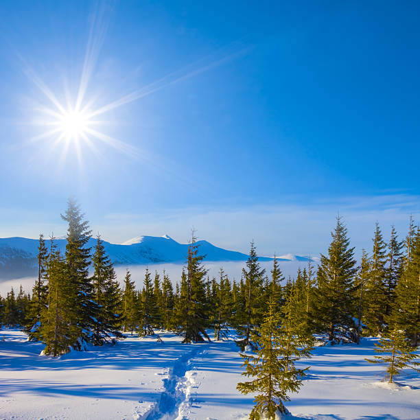 snowbound mountain plateau at the bright sunny day,  snowbound mountain in dense clouds under a sparkle sun