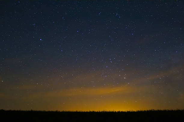 night starry sky above the forest silhouette