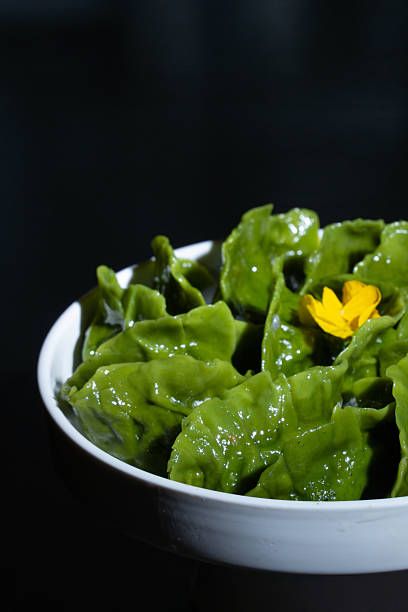 Chinese dumplings in various colors