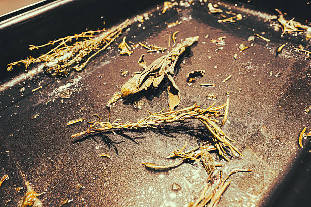 Tray of Parsley, Rosemary and Thyme after having done its job with the roast potatoes, at Christmas.